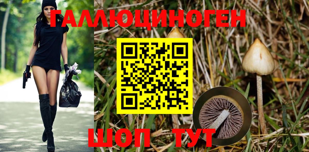Псилоцибиновые грибы мицелий Череповец