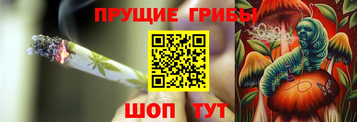Череповец  Галлюциногенные грибы Psilocybine cubensis  Вход с VPN  Псилоцибиновые грибы прущие грибы 